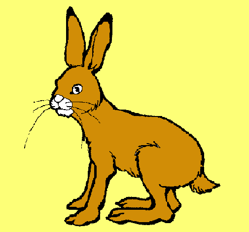 Dibujo de Liebre pintado por Johana en Dibujos.net el día 16-11-10 ...