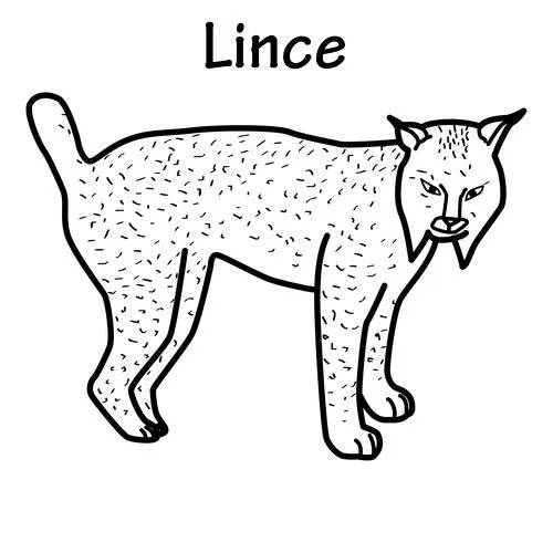 Dibujos de lince para colorear - Imagui