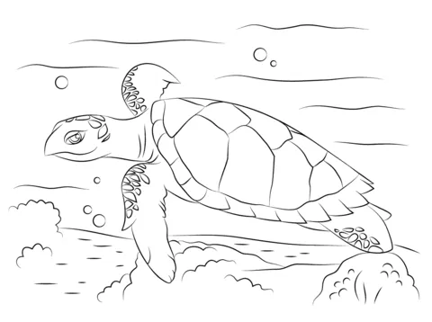 Linda Tortuga Carey dibujo para colorear | SuperColoring.com Linda Tortuga Carey dibujo para colorear | SuperColoring.com
