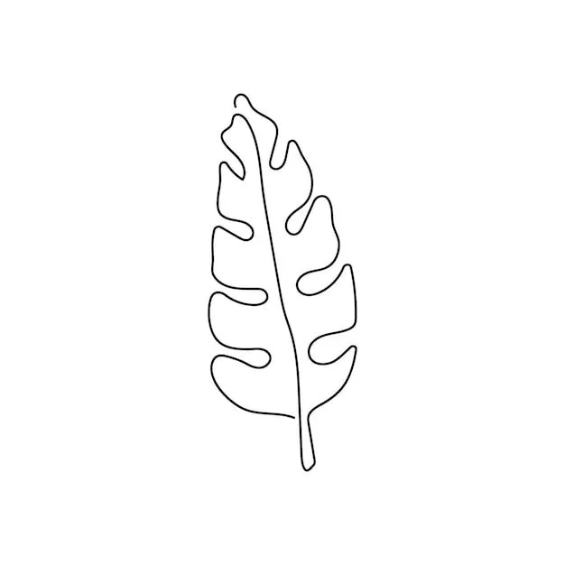 Dibujo de línea continua de hoja de palma arte de una línea de hojas plantas hojas de hierba botánico de la selva | Vector Premium Dibujo de línea continua de hoja de palma arte de una línea de hojas plantas hojas de hierba botánico de la selva | Vector Premium