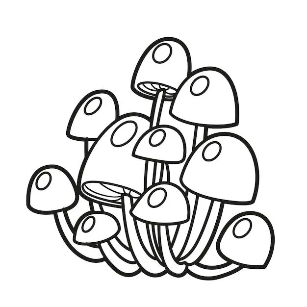 Dibujo lineal de hongos toadstool venenosos para colorear aislado sobre fondo blanco | Vector Premium Dibujo lineal de hongos toadstool venenosos para colorear aislado sobre fondo blanco | Vector Premium