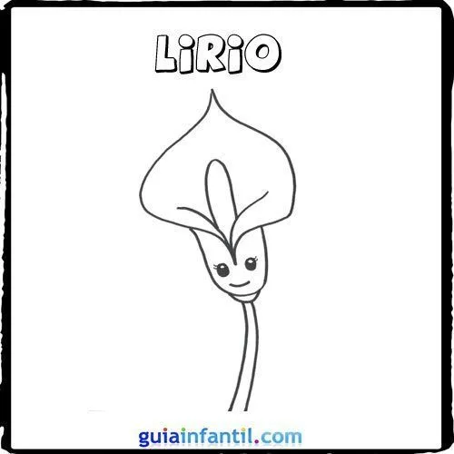 2206-4-lirio-dibujos-de-flores ...