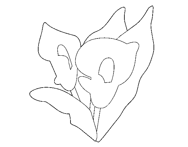 Dibujo de Lirios para Colorear - Dibujos.net Dibujo de Lirios para Colorear - Dibujos.net