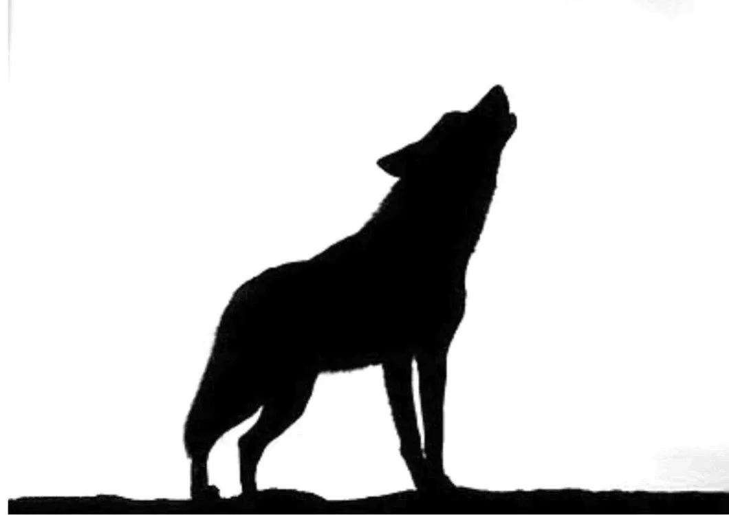 Dibujo Lobo Aullando Para Colorear Dibujos Lobos Pictures Dibujo Lobo Aullando Para Colorear Dibujos Lobos Pictures
