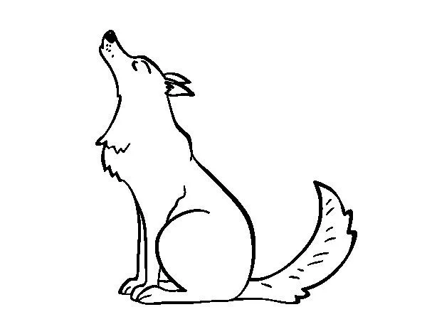 Dibujo de Lobo aullando para Colorear - Dibujos.net Dibujo de Lobo aullando para Colorear - Dibujos.net