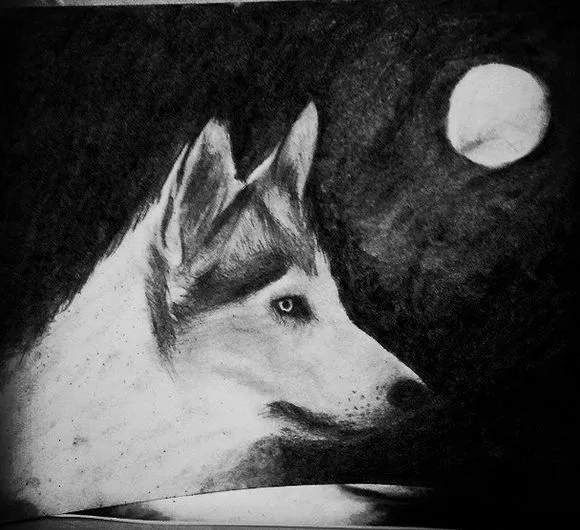 Dibujo de un lobo en blanco y negro a carboncillo. | Dibujos ... Dibujo de un lobo en blanco y negro a carboncillo. | Dibujos ...