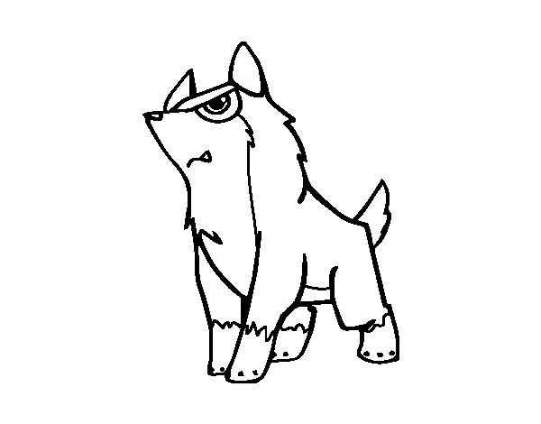 Dibujo de Lobo gris para Colorear - Dibujos.net Dibujo de Lobo gris para Colorear - Dibujos.net
