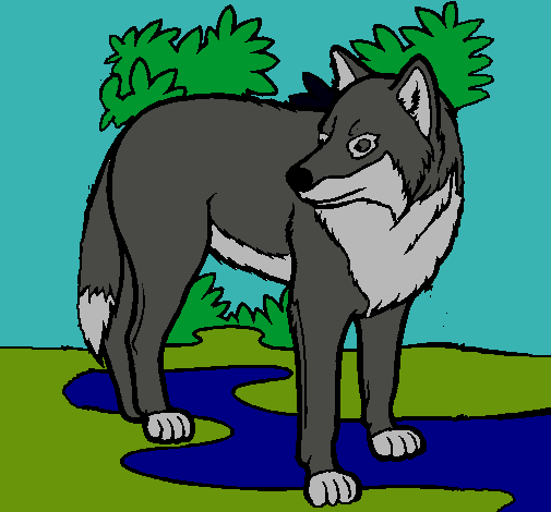 Dibujo de Lobo pintado por Balto en Dibujos.net el día 10-04-11 a ... Dibujo de Lobo pintado por Balto en Dibujos.net el día 10-04-11 a ...