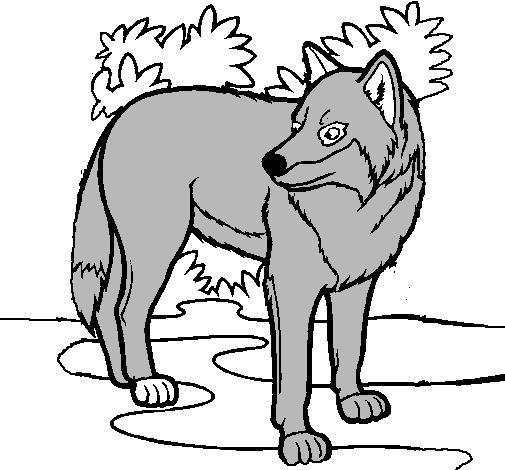 Dibujo de Lobo pintado por Lobo en Dibujos.net el día 22-10-10 a ...