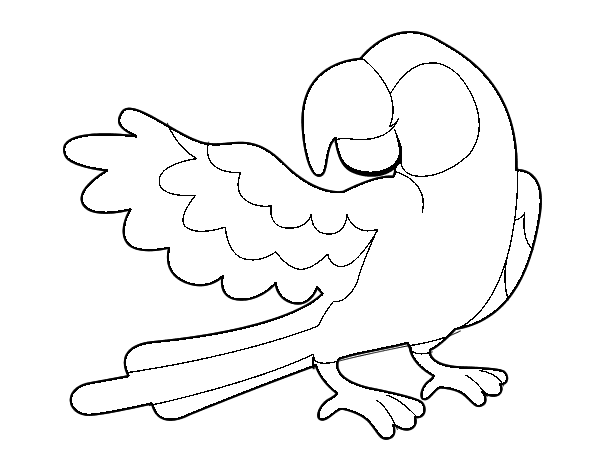 Dibujo de Loro con ala abierta para Colorear - Dibujos.net Dibujo de Loro con ala abierta para Colorear - Dibujos.net