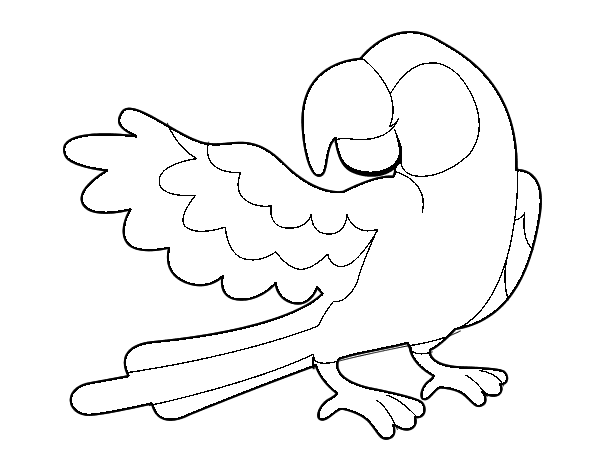 Dibujo de Loro con ala abierta para Colorear - Dibujos.net