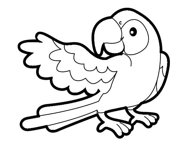 Dibujo de Loro con ala abierta pintado por Lufecampin en Dibujos ... Dibujo de Loro con ala abierta pintado por Lufecampin en Dibujos ...