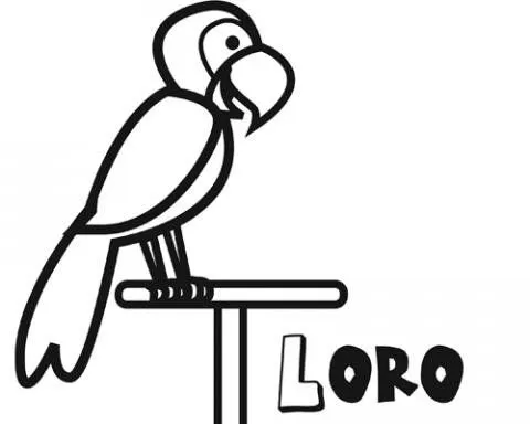 14422-4-dibujos-loro.jpg