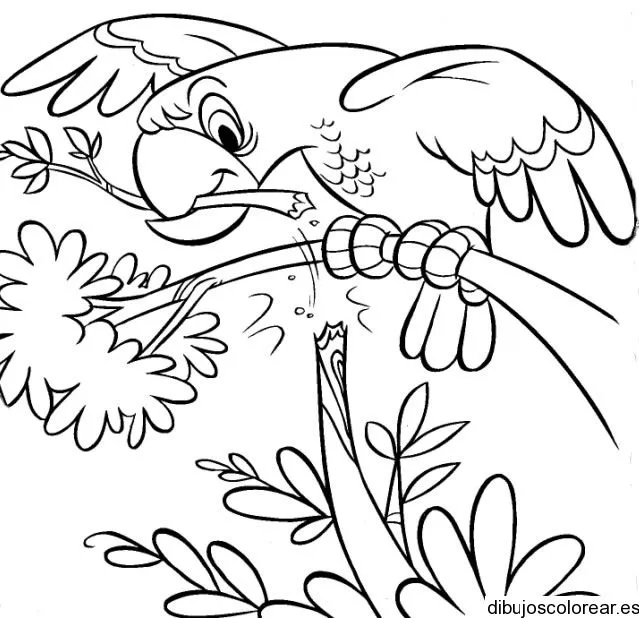 Dibujo de un loro en una rama rota | Dibujos para Colorear Dibujo de un loro en una rama rota | Dibujos para Colorear