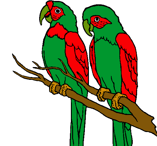 Dibujo de Loros pintado por Cicp en Dibujos.net el día 23-11-10 a ...