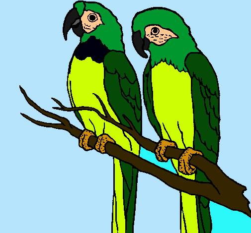 Dibujo de Loros pintado por Guacamaya en Dibujos.net el día 15-01 ...