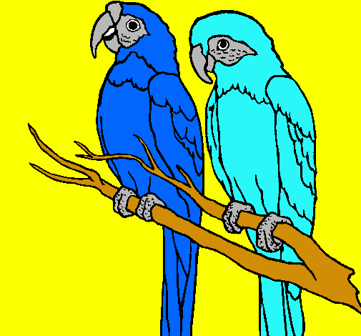 Dibujo de Loros pintado por Guacamayas en Dibujos.net el día 01-02 ... Dibujo de Loros pintado por Guacamayas en Dibujos.net el día 01-02 ...