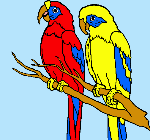 Dibujo de Loros pintado por Guacamayas en Dibujos.net el día 28-04 ...