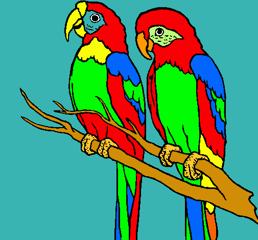 Dibujo de Loros pintado por Guacamayas en Dibujos.net el día 31-07 ...