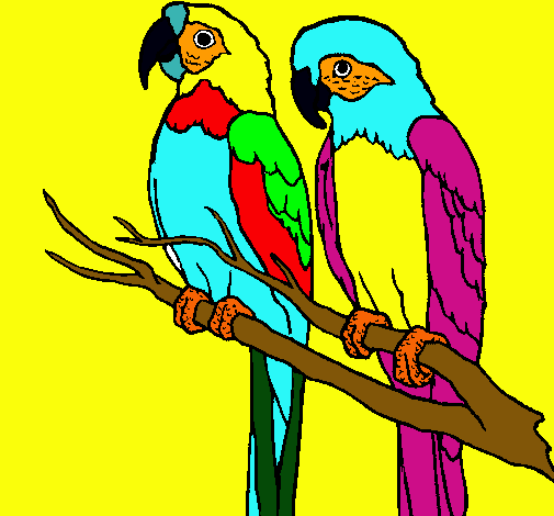 Dibujo de Loros pintado por Guacamayo en Dibujos.net el día 02-06 ... Dibujo de Loros pintado por Guacamayo en Dibujos.net el día 02-06 ...