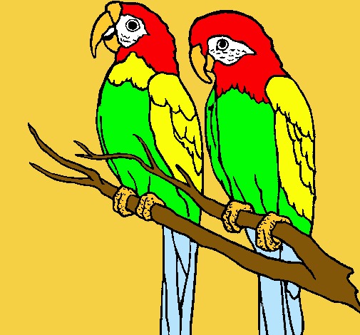 Dibujo de Loros pintado por Guacamayos en Dibujos.net el día 01-06 ... Dibujo de Loros pintado por Guacamayos en Dibujos.net el día 01-06 ...