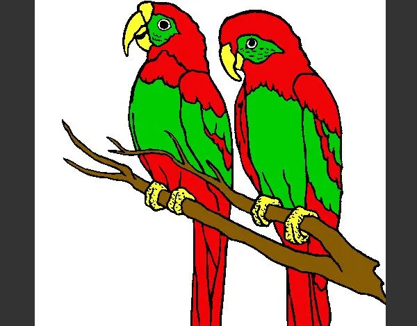 Dibujo de loros pintado por Martina-se en Dibujos.net el día 01-03 ... Dibujo de loros pintado por Martina-se en Dibujos.net el día 01-03 ...