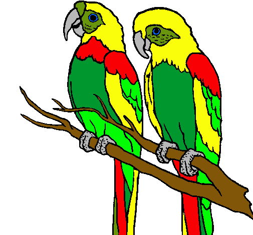 Dibujo de Loros pintado por Pericos en Dibujos.net el día 22-09-10 ... Dibujo de Loros pintado por Pericos en Dibujos.net el día 22-09-10 ...