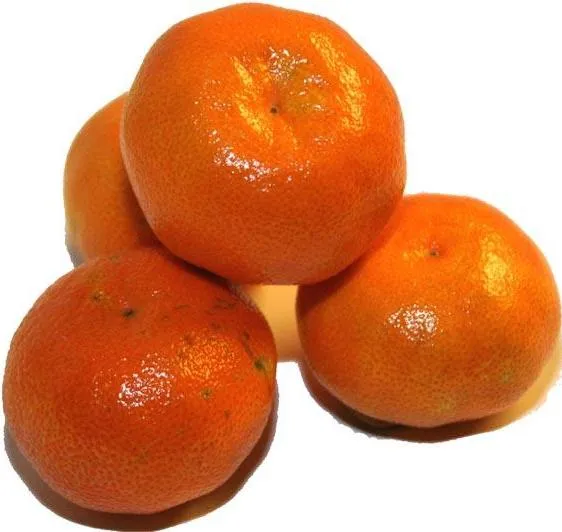 Dibujo de la mandarina para colorear - Imagui Dibujo de la mandarina para colorear - Imagui
