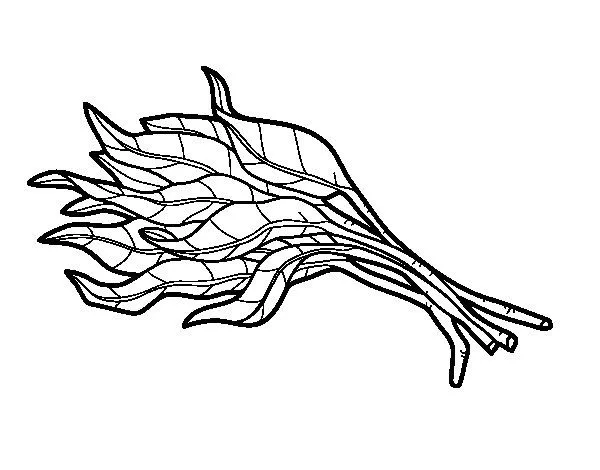 Dibujo de Manojo de espinacas para Colorear - Dibujos.net Dibujo de Manojo de espinacas para Colorear - Dibujos.net