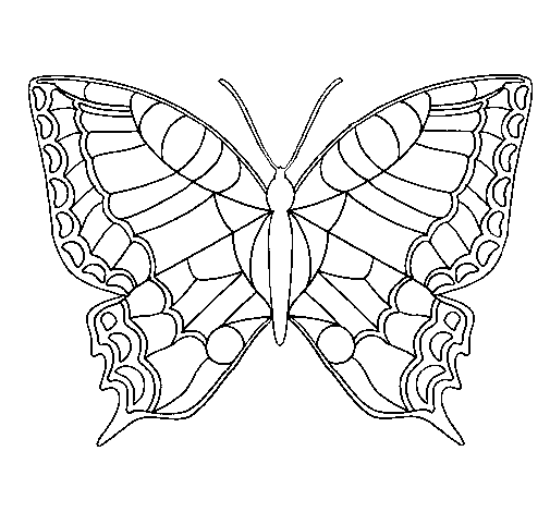 Dibujo de Mariposa 16 para Colorear - Dibujos.net Dibujo de Mariposa 16 para Colorear - Dibujos.net