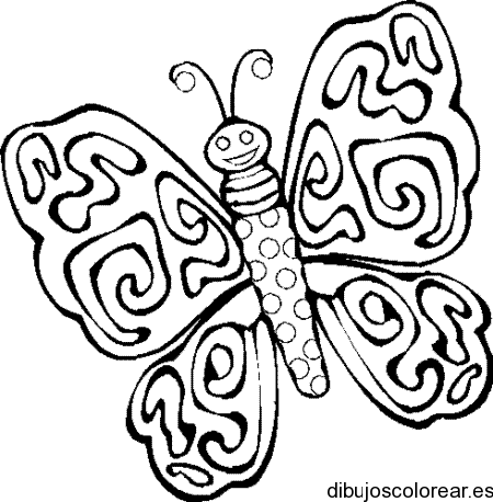 Dibujo de mariposa con las alas abiertas | Dibujos para Colorear Dibujo de mariposa con las alas abiertas | Dibujos para Colorear