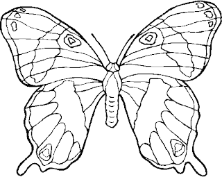 Dibujo de Mariposa para colorear