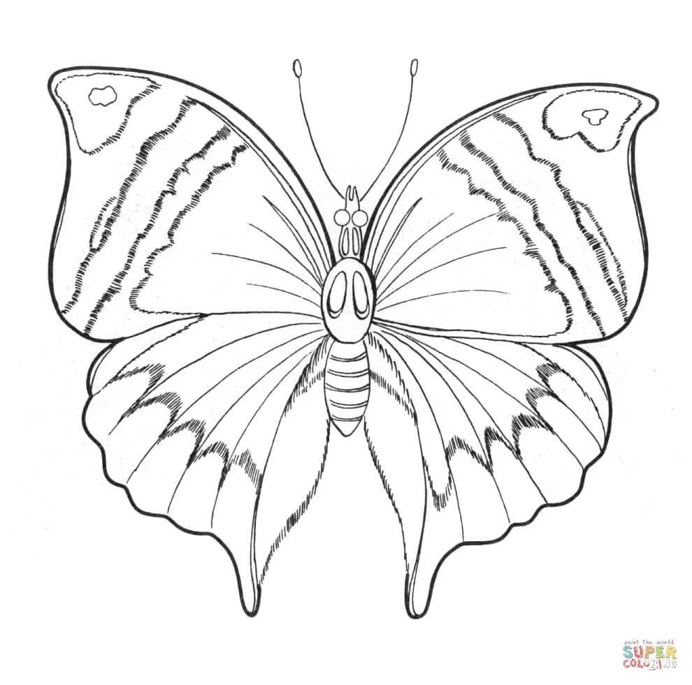 Dibujo de Gran Mariposa para colorear | Dibujos para colorear ... Dibujo de Gran Mariposa para colorear | Dibujos para colorear ...