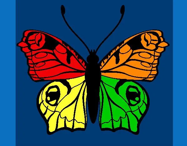 Dibujo de mariposa de colres del arcoiris pintado por Carmencia en ... Dibujo de mariposa de colres del arcoiris pintado por Carmencia en ...