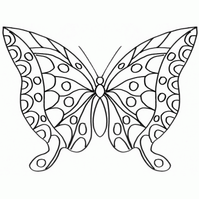 Dibujo de Mariposa grande. Dibujo para colorear de Mariposa grande ... Dibujo de Mariposa grande. Dibujo para colorear de Mariposa grande ...