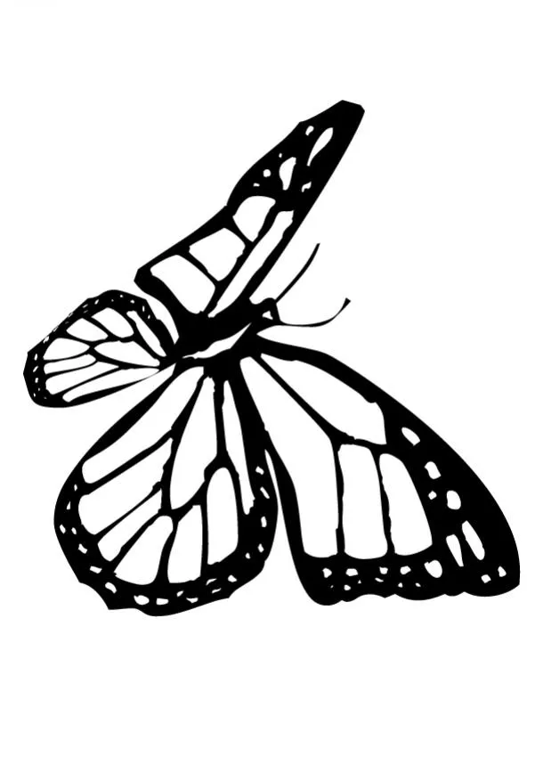 Dibujo de mariposa monarca para colorear Dibujo MARIPOSA MONARCA ...