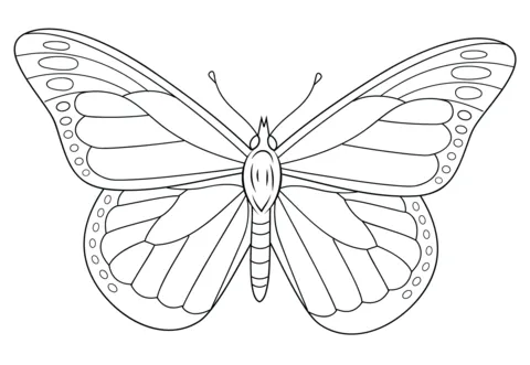 Dibujo de Mariposa Monarca para colorear | Dibujos para colorear ... Dibujo de Mariposa Monarca para colorear | Dibujos para colorear ...