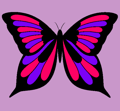 Dibujo de Mariposa 8 pintado por Coquito en Dibujos.net el día 06 ...