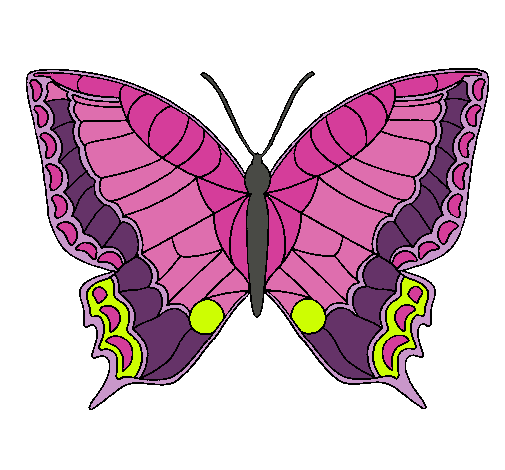 Dibujo de Mariposa pintado por Rebeca en Dibujos.net el día 21-11 ... Dibujo de Mariposa pintado por Rebeca en Dibujos.net el día 21-11 ...