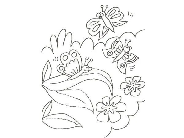 17594-4-dibujo-de-una-mariposa ...