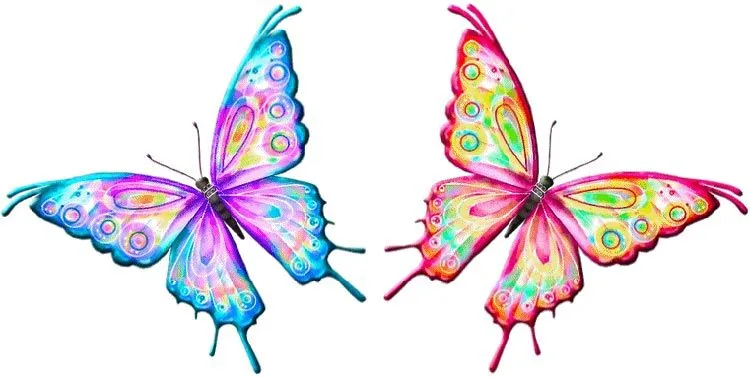 Mariposas animadas brillo - Imagui