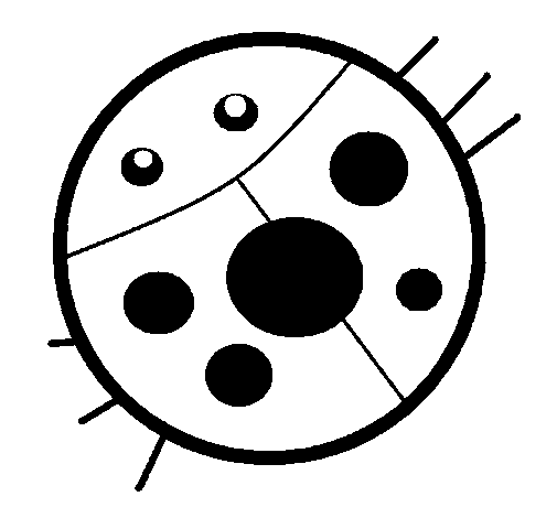 Dibujo de Mariquita 5 para Colorear - Dibujos.net Dibujo de Mariquita 5 para Colorear - Dibujos.net