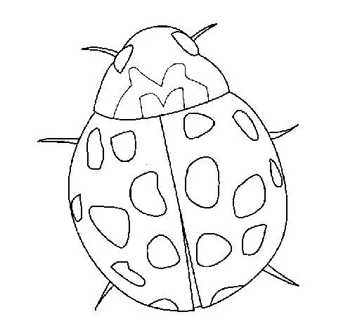 Dibujo de Mariquita para Colorear - Dibujos.net