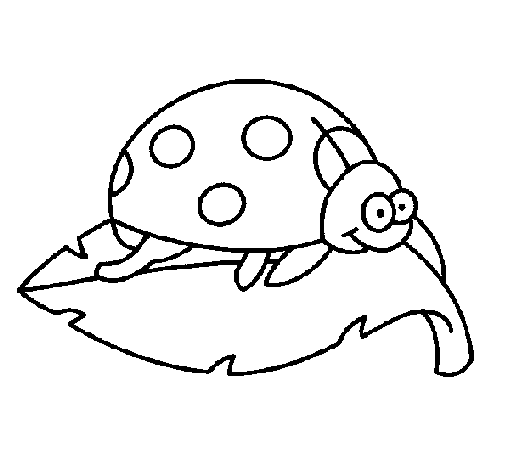 Dibujo de Mariquita encima de una hoja para Colorear