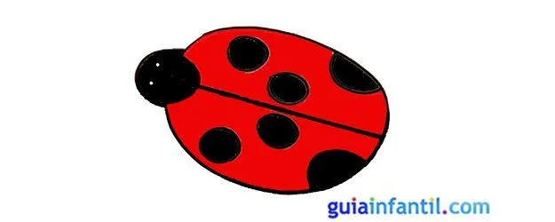 Cómo hacer un dibujo de una mariquita paso a paso Cómo hacer un dibujo de una mariquita paso a paso