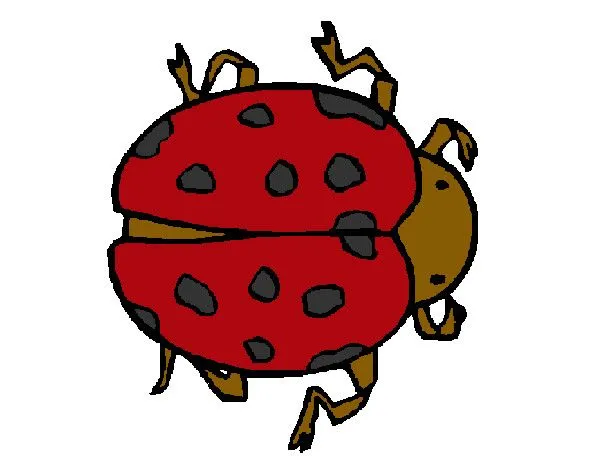 Dibujo de mi mariquita pintado por Dima en Dibujos.net el día 31 ... Dibujo de mi mariquita pintado por Dima en Dibujos.net el día 31 ...