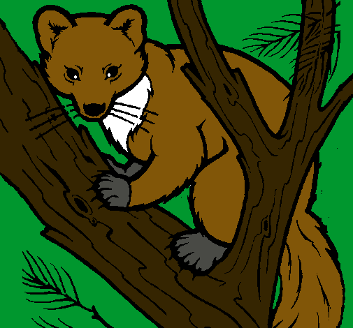 Dibujo de Marta europea en el árbol pintado por Palmero en Dibujos ... Dibujo de Marta europea en el árbol pintado por Palmero en Dibujos ...