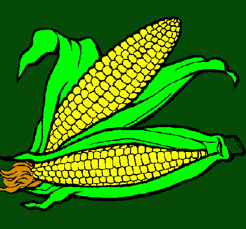 Dibujo de Mazorca de maíz pintado por Elote en Dibujos.net el día ... Dibujo de Mazorca de maíz pintado por Elote en Dibujos.net el día ...
