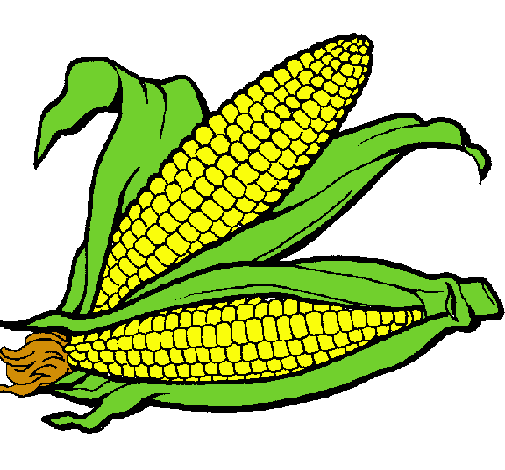 Dibujo de Mazorca de maíz pintado por Elote en Dibujos.net el día ...