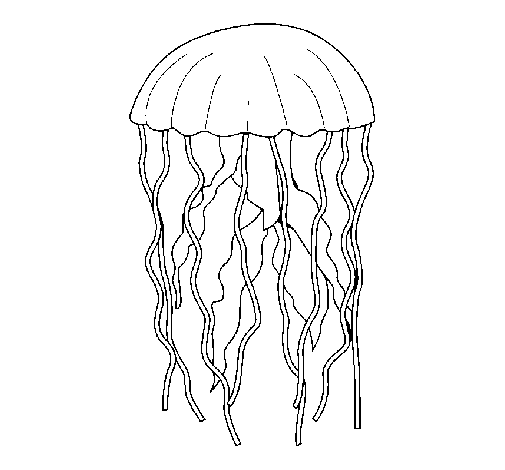 Dibujo de Medusa para Colorear - Dibujos.net Dibujo de Medusa para Colorear - Dibujos.net